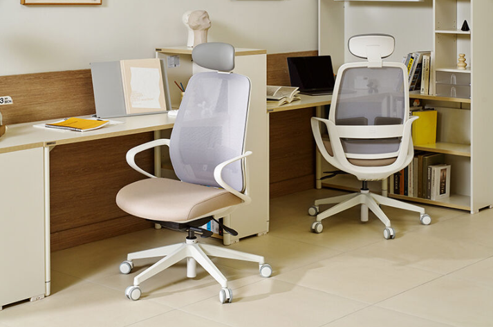 [리바트하움] ASCENT 어센트