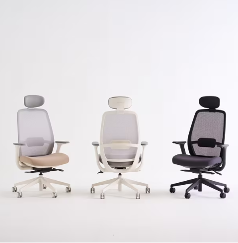 [리바트하움] ASCENT 어센트 플러스