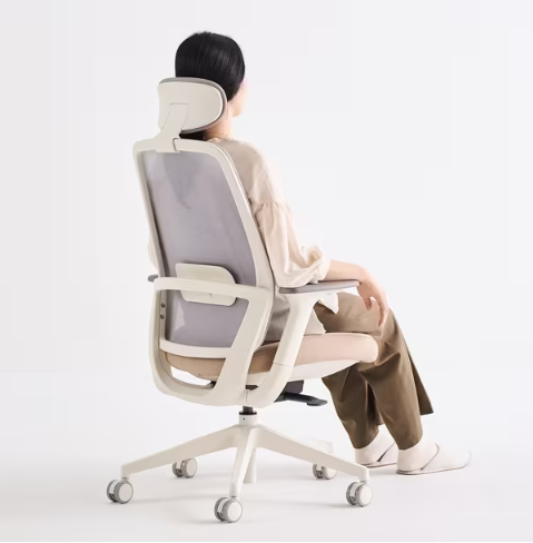 [리바트하움] ASCENT 어센트 플러스