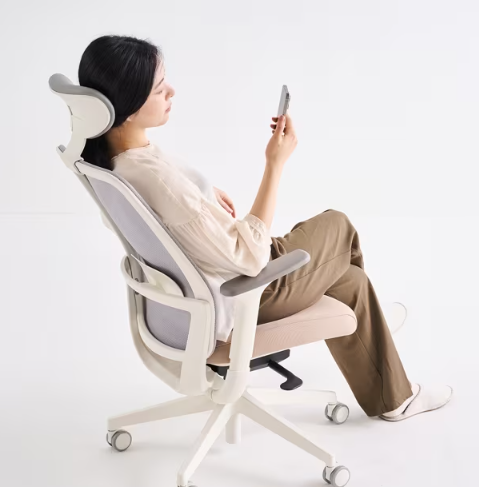 [리바트하움] ASCENT 어센트 플러스