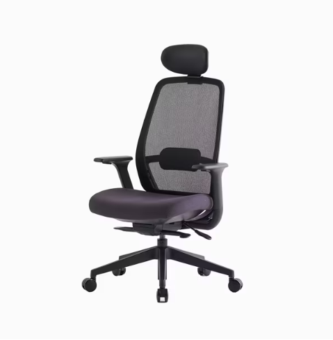 [리바트하움] ASCENT 어센트 플러스