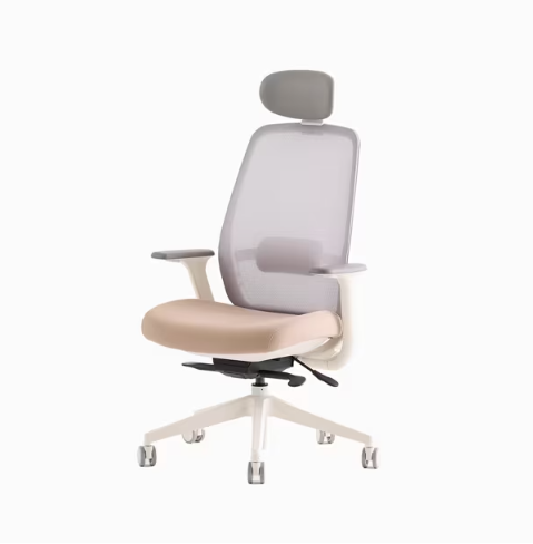 [리바트하움] ASCENT 어센트 플러스