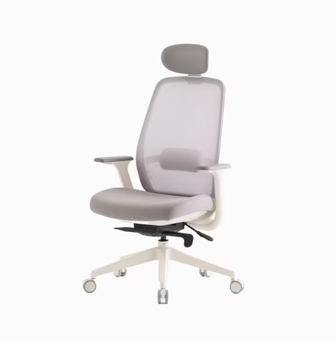 [리바트하움] ASCENT 어센트 플러스